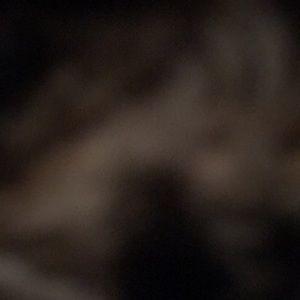 Meet your Posher, Marissa